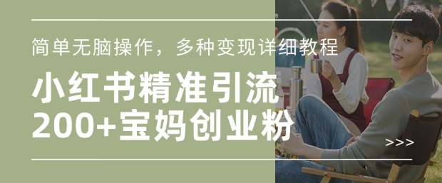 小红书混剪日引200+宝妈创业粉，简单无脑操作，多种变现详细教程-圆梦资源网