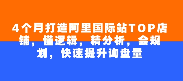4个月打造阿里国际站TOP店铺，懂逻辑，精分析，会规划，快速提升询盘量-圆梦资源网