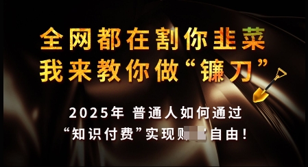 知识付费如何做到月入过W+，2025我来教你做“镰刀”【揭秘】-圆梦资源网