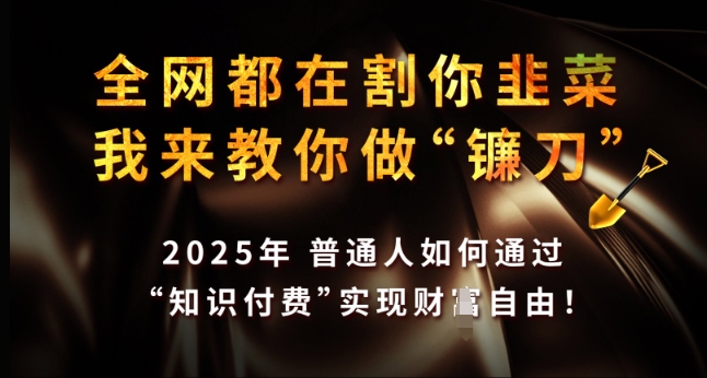 全网都在割你韭菜，我来教你做镰刀，2025年普通人如何通过 知识付费 实现财F自由【揭秘】-圆梦资源网