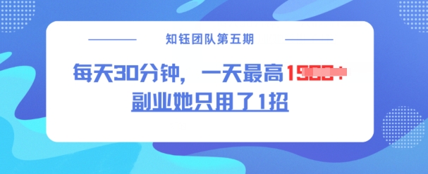 副业她只用了1招，每天30分钟，无脑二创，一天最高1.5k-圆梦资源网