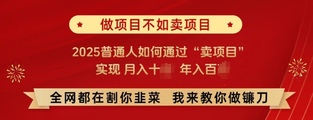 必看，做项目不如卖项目，2025普通人如何通过“卖项目”实现月入十个，年入百个-圆梦资源网