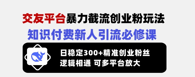 交友平台暴力截流创业粉玩法，知识付费新人引流必修课，日稳定300+精准创业粉丝，逻辑相通可多平台放大-圆梦资源网