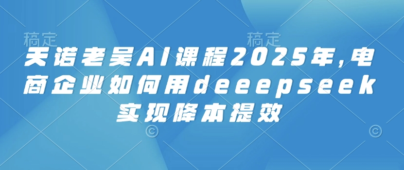 天诺老吴AI课程2025年，电商企业如何用deeepseek实现降本提效-圆梦资源网