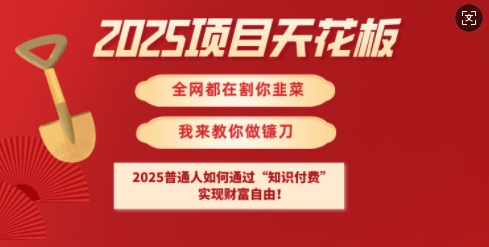 2025项目天花板普通人如何通过知识付费，实现财F自由【揭秘】-圆梦资源网