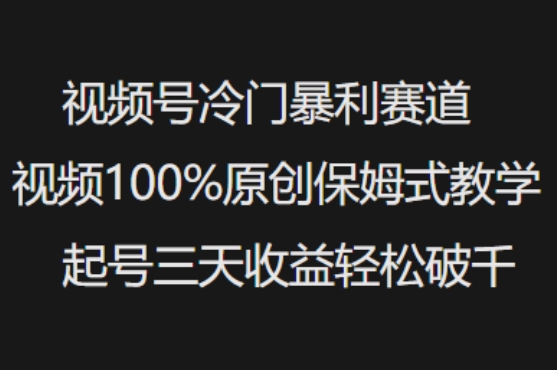 视频号冷门暴利赛道视频100%原创保姆式教学起号三天收益轻松破千-圆梦资源网