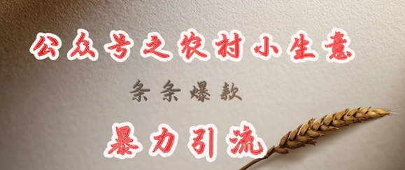 deepseek写农村小项目，条条爆款，暴力引流-圆梦资源网