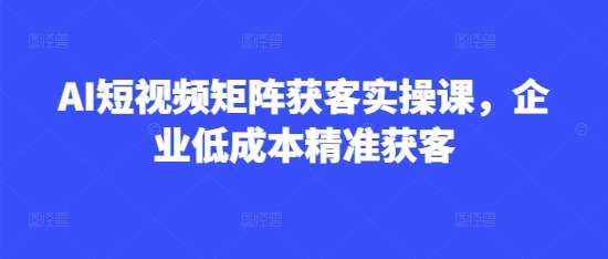 AI短视频矩阵获客实操课，企业低成本精准获客-圆梦资源网