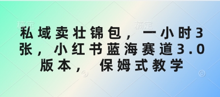 私域卖壮锦包，一小时3张，小红书蓝海赛道3.0版本， 保姆式教学-圆梦资源网