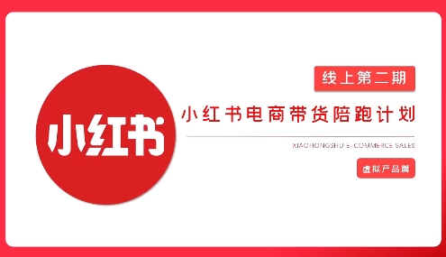 2025小红书虚拟电商实战课，从0到1打造无货源店铺，AI+爆款笔记轻松变现-圆梦资源网