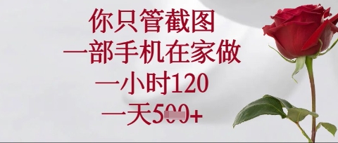 你只管截图，一部手机在家操作，一小时120.一天5张【揭秘】-圆梦资源网