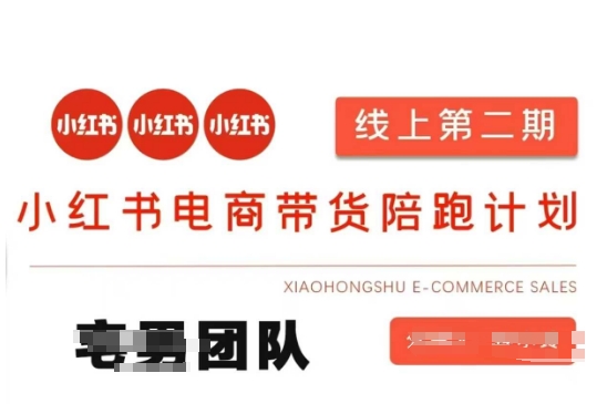 小红书电商带货课2期，月利润20个的小红书电商的有货源，无货源，虚拟产品，付费投流等整套玩法-圆梦资源网