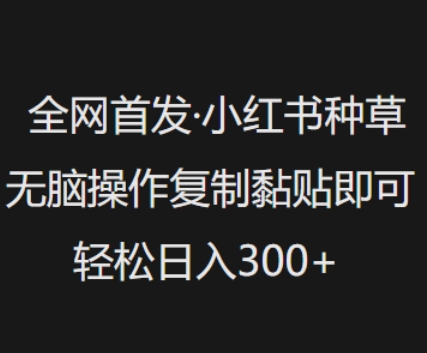 全网首发，小红书种草无脑操作，复制黏贴即可，轻松日入3张-圆梦资源网