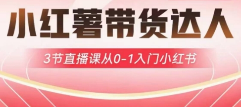 小红薯达人带货启航计划，3节直播课从0-1入门小红书-圆梦资源网