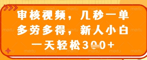 审核视频，几秒一单，多劳多得，新人小白一天轻松3张【揭秘】-圆梦资源网