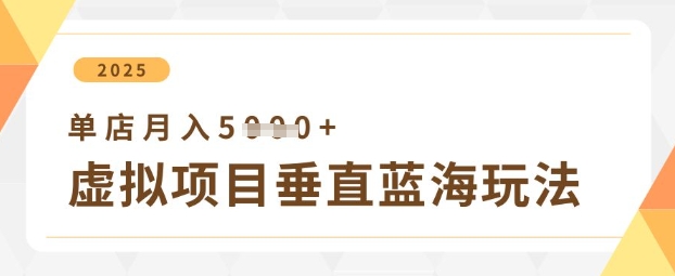 虚拟项目垂直玩法，实现单店月入5k+-圆梦资源网