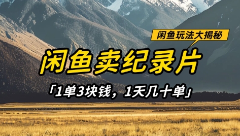 闲鱼卖纪录片1单3块钱，1天几十单，项目稳定有潜力-圆梦资源网