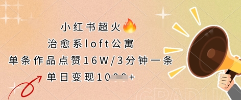 小红书超火的治愈系loft公寓，单条作品点赞16W，3分钟一条，单日变现数张-圆梦资源网