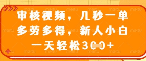 最新审核视频，几秒一单，多劳多得，新人小白一天轻松3张【揭秘】-圆梦资源网