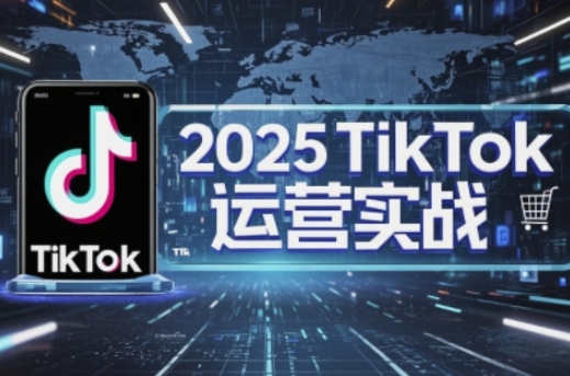 2025TikTok电商运营，掌握TikTok店铺运营核心技巧，实现低成本高转化-圆梦资源网