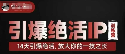 引爆绝活IP训练营，14天引爆绝活，放大你的一技之长-圆梦资源网