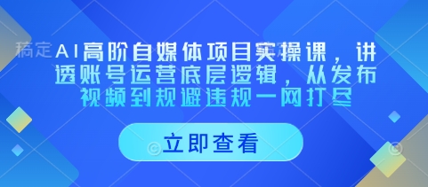 AI高阶自媒体项目实操课，讲透账号运营底层逻辑，从发布视频到规避违规一网打尽-圆梦资源网
