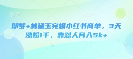 即梦+林黛玉完爆小红书商单，3天涨粉1千，靠怼人月入5k+-圆梦资源网