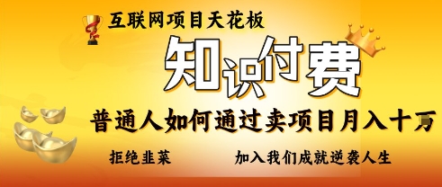 互联网项目天花板，知付付费项目，普通人如何通过卖项目月入十个，拒绝韭菜【揭秘】-圆梦资源网