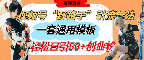 视频号“野路子”玩法，评论区疯狂截流，一套模板单日单号引流50+创业粉-圆梦资源网
