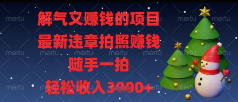 解气又挣钱的项目，最新违章拍照挣钱，随手一拍，轻松收入多张【揭秘】-圆梦资源网