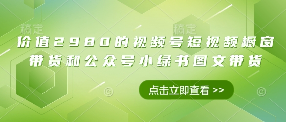价值2980的视频号短视频橱窗带货和公众号小绿书图文带货-圆梦资源网