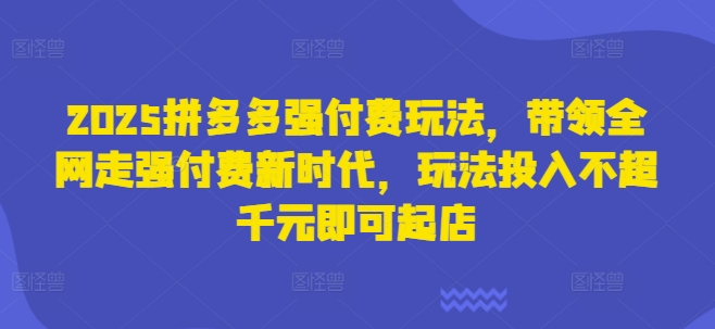 2025拼多多强付费玩法，带领全网走强付费新时代，玩法投入不超千元即可起店-圆梦资源网