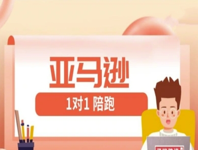 亚马逊1对1陪跑课(FBA/FBM精铺)跨境亚马逊教程-圆梦资源网