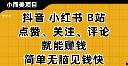 小而美的项目，抖音小红书B站视频点赞、关注、评论就能挣钱，简单无脑立见收益，妥妥的零撸项目【揭秘】-圆梦资源网