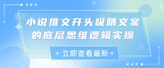小说推文开头吸睛文案的底层思维逻辑实操-圆梦资源网