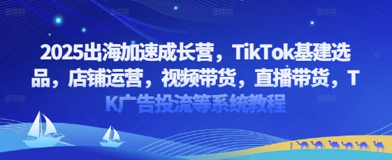 2025出海加速成长营，TikTok基建选品，店铺运营，视频带货，直播带货，TK广告投流等系统教程-圆梦资源网