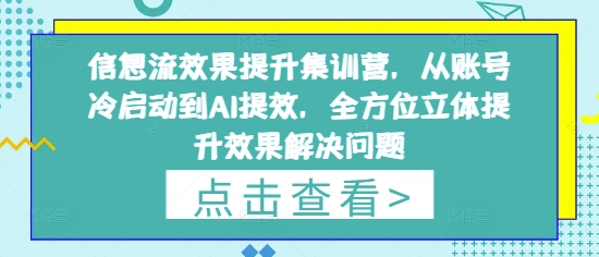 信息流效果提升集训营，从账号冷启动到AI提效，全方位立体提升效果解决问题-圆梦资源网