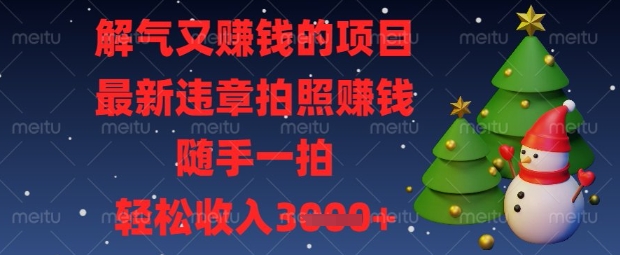 解气又挣钱的项目，最新违章拍照挣钱，随手一拍，轻松收入数张【揭秘】-圆梦资源网