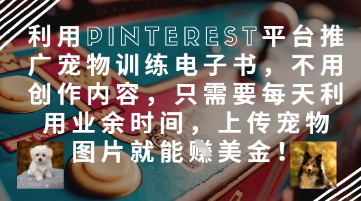 利用Pinterest平台推广宠物训练电子书，不用创作内容，只需要每天利用业余时间，上传宠物图片就能挣美金!-圆梦资源网