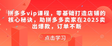 拼多多vip课程，零基础打造店铺的核心秘诀，助拼多多卖家在2025卖出爆款，订单不断-圆梦资源网