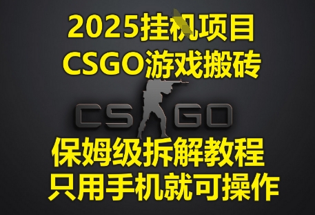 2025挂G项目，CSGO游戏搬砖，保姆级拆解教程，只用手机就可操作【揭秘】-圆梦资源网