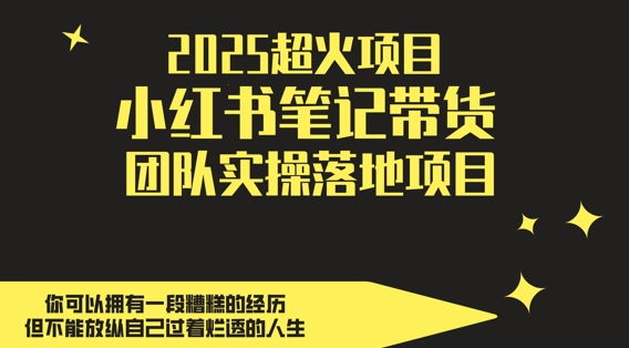 2025超火项目，副业最佳选择，小红书笔记带货团队实操落地项目，，轻松日入5张-圆梦资源网