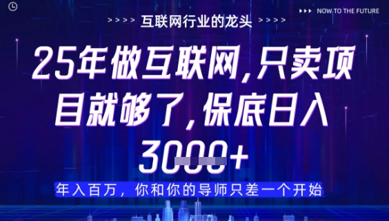 什么！25年你还在找项目做？风口早就变了，卖项目才是稳挣不赔【揭秘】-圆梦资源网