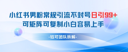 小红书男粉常规引流不封号日引99+变现简单 可矩阵可复制小白容易上手-圆梦资源网