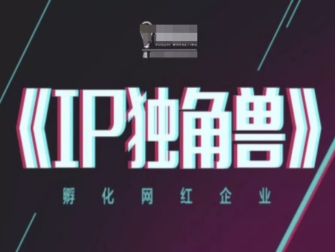 IP独角兽，孵化网红企业，ip教程-圆梦资源网