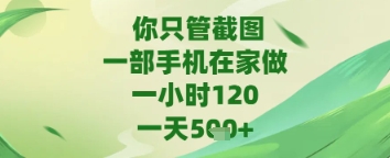 你只管截图，一部手机在家做，苹果安卓都可以，一天5张+【揭秘】-圆梦资源网