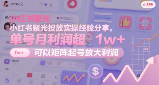 小红书聚光投放实操经验分享，单号月利润超1w+，可以矩阵起号放大利润-圆梦资源网