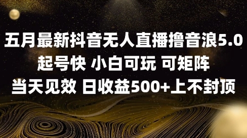 2025五月最新无人直播撸音浪单日产出5张+实操教程【揭秘】-圆梦资源网