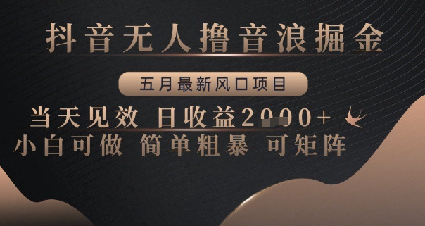 抖音无人撸音浪掘金，五月最新风口项目，当天见效，日收益多张，小白可做简单粗暴可矩阵【揭秘】-圆梦资源网