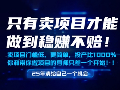 只有卖项目才能做到稳挣不赔，门槛低，更简单，你也可以年入百个W【揭秘】-圆梦资源网